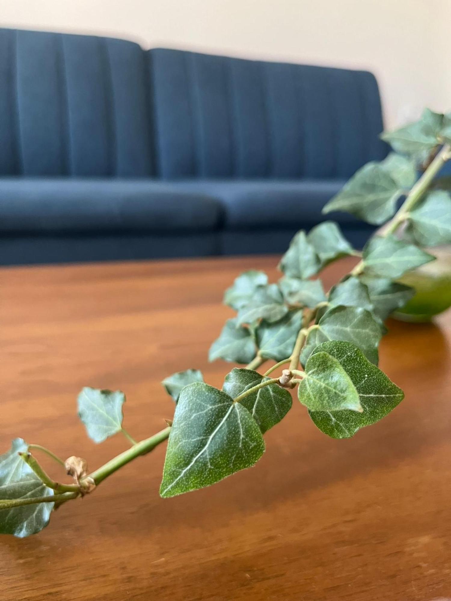 Mz Apartment Néa Péramos Εξωτερικό φωτογραφία
